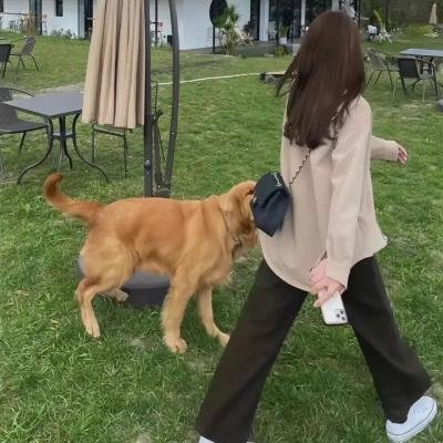 你是我的菜