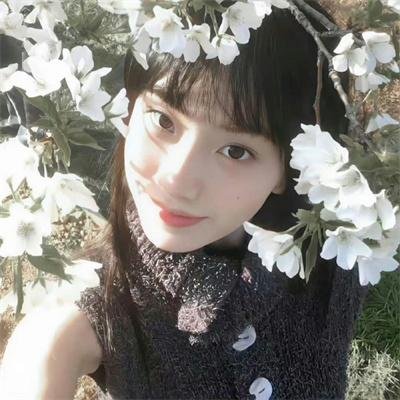 八角笼