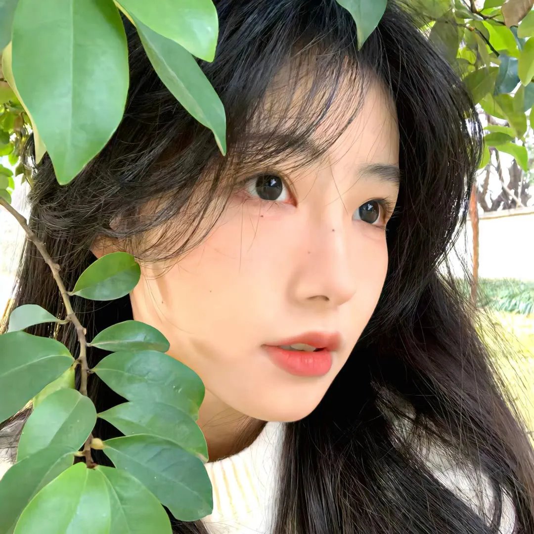 游击队的姑娘